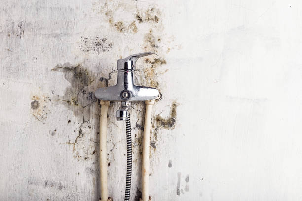 Best Best Mold Removal Companies  in Lakeside, TX