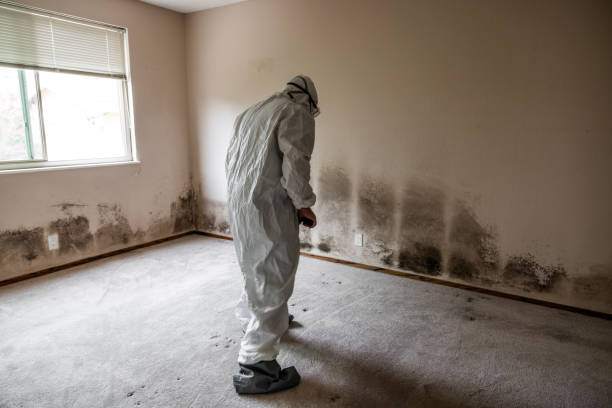 Best Emergency Mold Removal  in Lakeside, TX