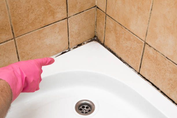 Best Mold Testing  in Lakeside, TX